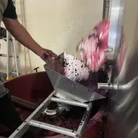 Décuvage du marc après fermentation alcoolique et écoulage d'un rouge dans le bordelais, vinifications 2023
Pelle, trémie