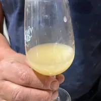 vin pendant FA