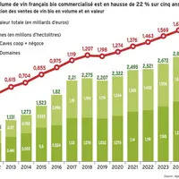 <em class="placeholder">Graphique des ventes de vin bio en France en volume et en valeur entre 2012 et 2024</em>