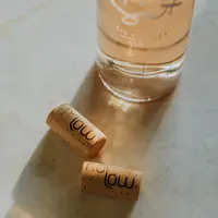 bouchon nolow vinventions