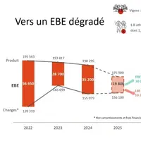 EBE viticole en Occitanie