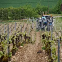Traitement de la vigne