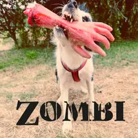 Extrait du court métrage Zombi de David Large