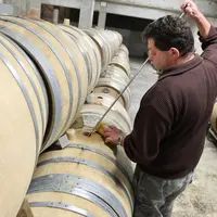oenologie. oenologie. vinification. salarié d'une exploitation viticole effectuant le remuage des lies de vin avec un rem