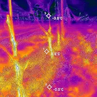 Gradient de température sous un voile antigel pour la vigne