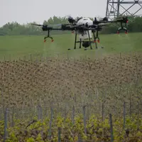 Démonstration de traitement phytosanitaire (à l'eau) des vignes avec un drone, au Champagne Serge Mathieu, à Avirey-Linge