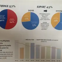 Evolution des récoltes et sorties de chai à bordeaux