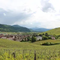Paysage viticole autour d’un village alsacien
