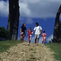 tourisme viticole / oenotourisme / promenade familiale dans les vignes / randonneurs pédestres / parents / enfants