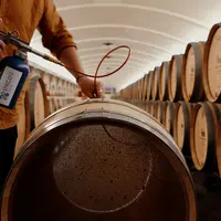Oak protect, tanins oenologiques pour remplacer le méchage des barriques