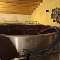cuve ouverte de moût rouge en fermentation avec chapeau de marc