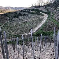 parcelle en hydrologie régénérative en vallée du Rhône