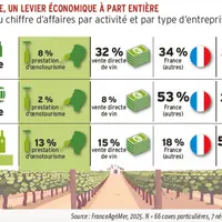 <em class="placeholder">Répartition du chiffre d’affaires par activité et par type d’entreprise viticole (en %)</em>