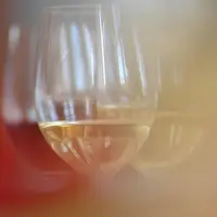Vigne / verre de vin blanc de Bordeaux