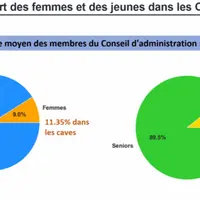 part des femmes et des jeunes dans les conseils d'administration des coopératives vinicoles