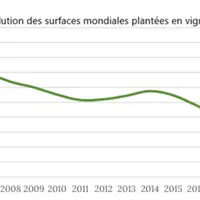 évolution des surfaces mondiales plantées en vigne