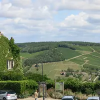 Paysage viticole autour de Sancerre
