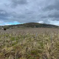 Paysage de vignes dans le beaujolais, vers Lantignié, dans le Rhône, le 4 décembre 2023