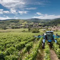 Tracteur enjambeur New Holland 9.80 N dans les vignes avec une cellule de pulvérisation Berthoud