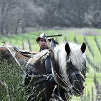 <em class="placeholder">Oscar Wohleber, prestataire de services à cheval, vigneron et salarié viticole à Andlau dans le Bas-Rhin, avec John, son cheva