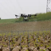 Démonstration de traitement phytosanitaire (à l'eau) des vignes avec un drone, au Champagne Serge Mathieu, à Avirey-Linge