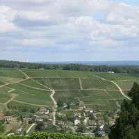 Panorama du vignoble de Sancerre