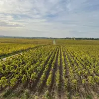 Château Pontet-Canet, à Pauillac, en Gironde, en octobre 2022. Médoc, bordeaux, bordelais, grand cru classé, biodynamie, paysa