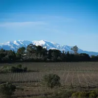 Vignoble des Pyrénées-Orientales