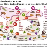 Graphique = Une diversification qui varie selon les zonesRépartition des différentes filières de diversification sur les zones