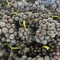 Grappes de raisin vendangées.