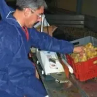 La primo-vaccination 
est réalisée à l’aide de la machine Dovac Double XL.