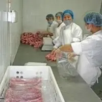 Une unité de production de foie gras de Rougié en Chine où le groupe Euralis est implanté depuis 2007.