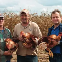 Fiers de leurs animaux, Jean-Pierre Grand (au centre), Daniel et Christophe Marceteau travaillent en famille 
pour proposer des produits de qualité
