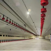 Le poulailler haut de gamme de 1500 m2 est bétonné, chauffé par aérotherme, éclairé par led, équipé de pipettes et assiettes en nombre.