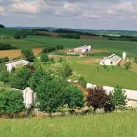 Élevage label dans 
le Gers.  Il faut former 
et professionnaliser 
les éleveurs, et renouveler 
le parc régional pour 
rester compétitif.