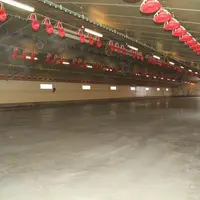 Poulailler rénové avec une dalle bétonnée (photo d'archives)