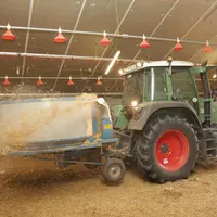 Epandage de litière broyée dans un poulailler breton avec la machine anglaise Jet Kidd.