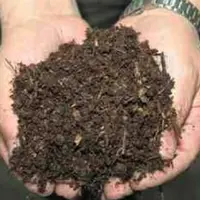 Compost de litières de volailles en phase de maturation. Outre l’afflux de produits
sur le marché, l’hétérogénéité des produits normés pourrait terni