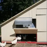 Production de poulet de Bresse.