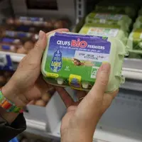 2800 boîtes de 6 œufs label rouge de Loué sont vendues par heure d’ouverture des magasins Carrefour.