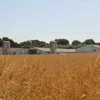 Centrée sur les pratiques culturales, la certification environnementale concerne l'ensemble de l'exploitation, y compris l'atelier avicole. Son référe