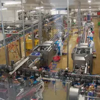 L’atelier de découpe vu d’une passerelle, avec l’arrivée des carcasses de poulet et les différentes lignes de découpe spécifique (cuisses, filets, ail