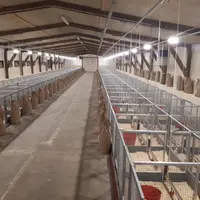 Dans l'outil expérimental de Chateau-Thierry, Prisma a testé 12 solutions nutritionnelles visant à sécuriser la flore intestinale, en conditions chall