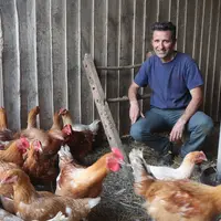 Julien Cesbron élève et vend à la manière d’autrefois, tout en ayant intégré les codes techniques, sanitaires et économiques d’aujourd’hui. © P. Le Do