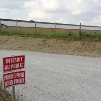 Les interprofessions dénoncent fermement les intrusions en élevage.  © A. Puybasset