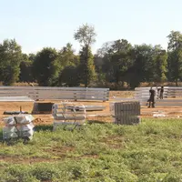 Construction d'un bâtiment pour poulets lourds dans le Morbihan.La région Bretagne veut participer à la reconquête du marché français du poulet, tout
