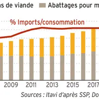 La part des importations dans la consommation française de poulet © Source : Itavi d’après ...