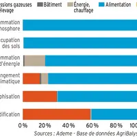 Contribution des différents postes aux impacts environnementaux du poulet de chair standard, en sortie élevage © Source : Ademe - Base de ...