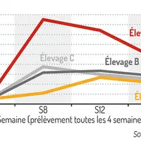 Évolution des titres Elisa ORTdans des élevages vaccinésLe profil atypique de l’élevage D vacciné indique le passaged’ORT qui booste la réponse immuni