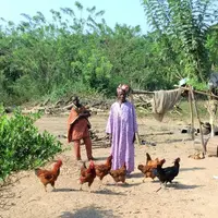 En développant la volaille traditionnelle chez les petits fermiers africains, comme ici en Éthiopie, l'objectif est d'apporter aux populations rurales